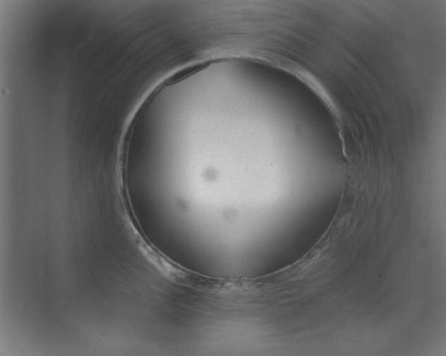 X0000073971148200609051838