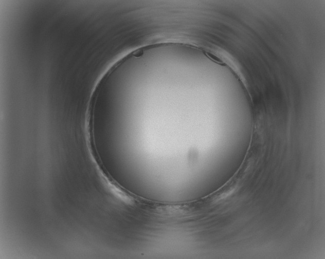 X0000073971149200609051838