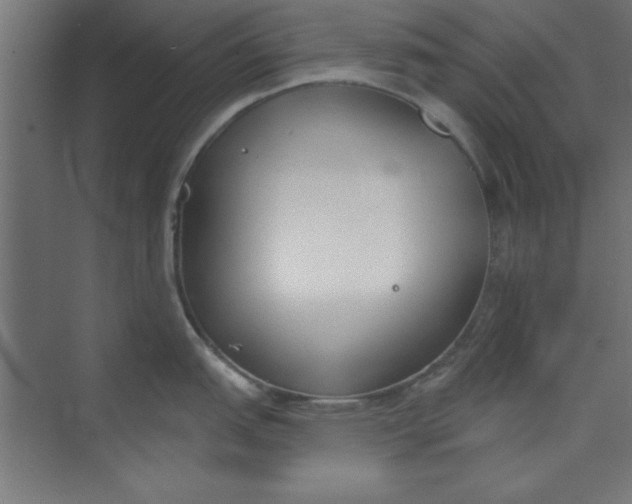 X0000073971151200609051839