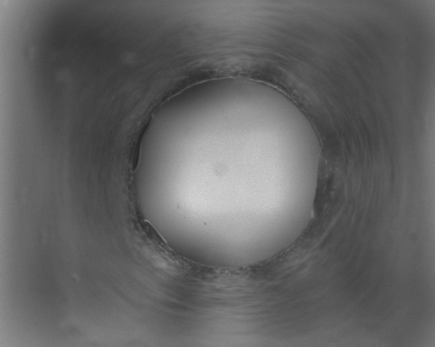 X0000073971153200609051838