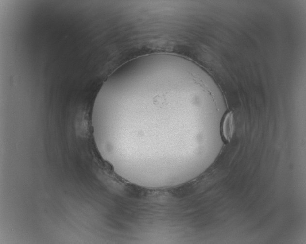 X0000073971154200609051838