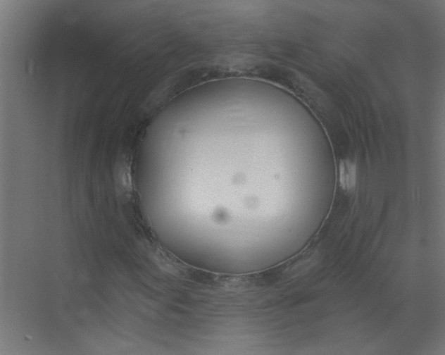 X0000073971155200609051838