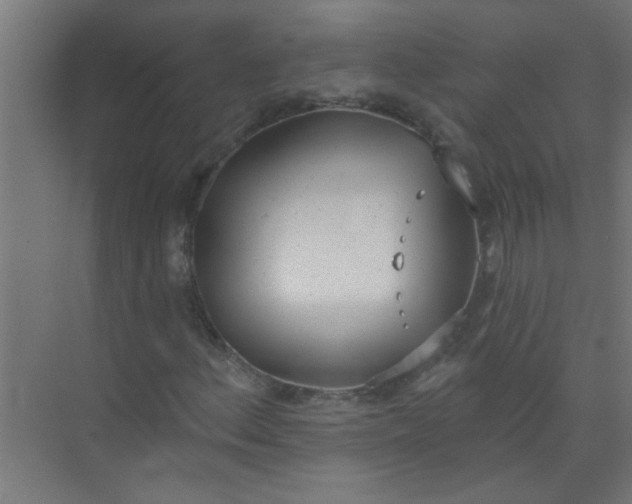 X0000073971156200609051838