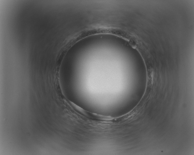 X0000073971157200609051838