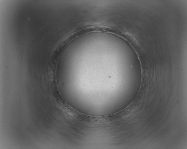 X0000073971159200609051838