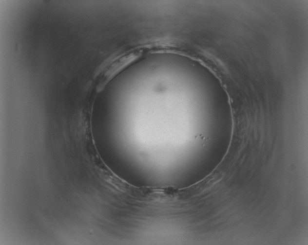 X0000073971160200609051838