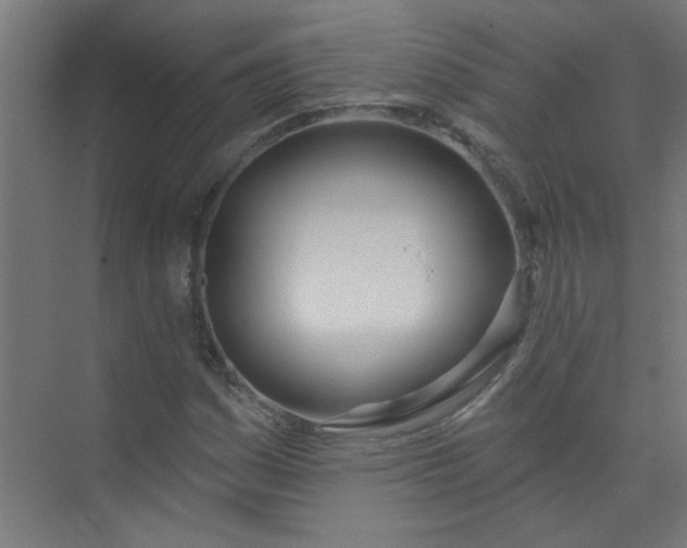 X0000073971161200609051838