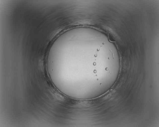 X0000073971162200609051838