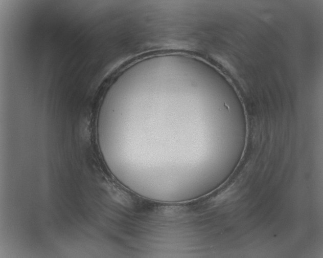 X0000073971163200609051838