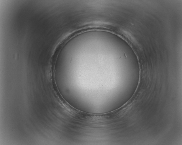 X0000073971164200609051838