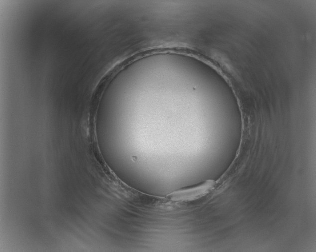 X0000073971165200609051838