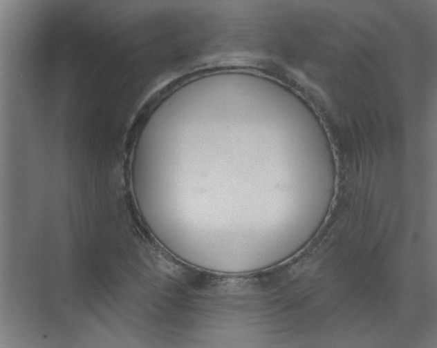 X0000073971166200609051838