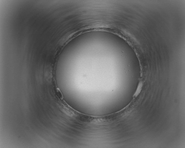 X0000073971169200609051837