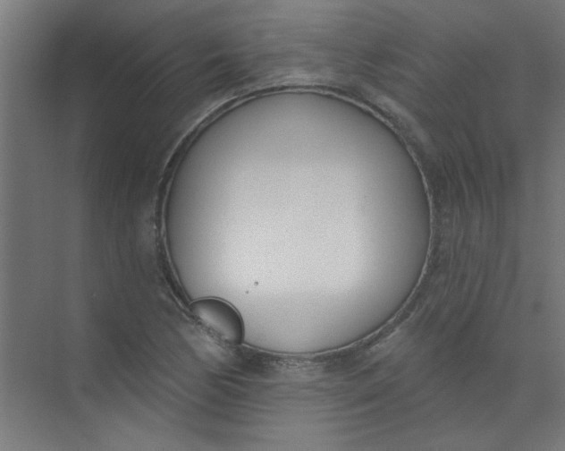 X0000073971170200609051837