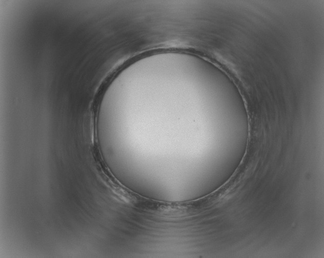 X0000073971171200609051837