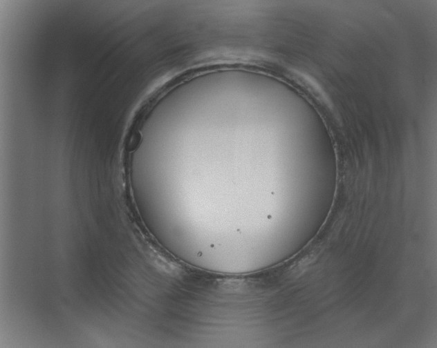 X0000073971172200609051837