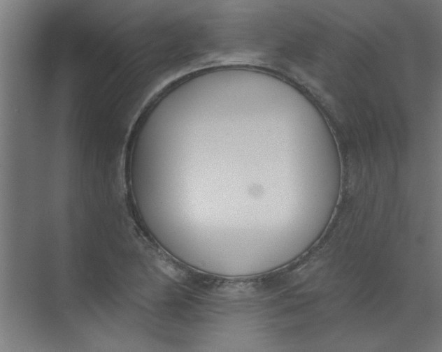 X0000073971174200609051837