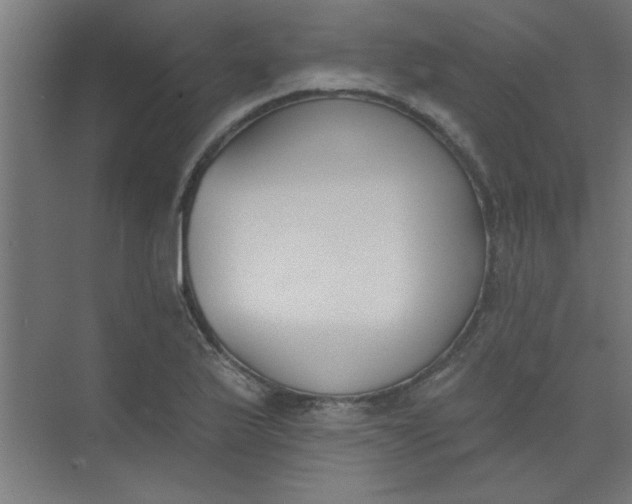 X0000073971175200609051837