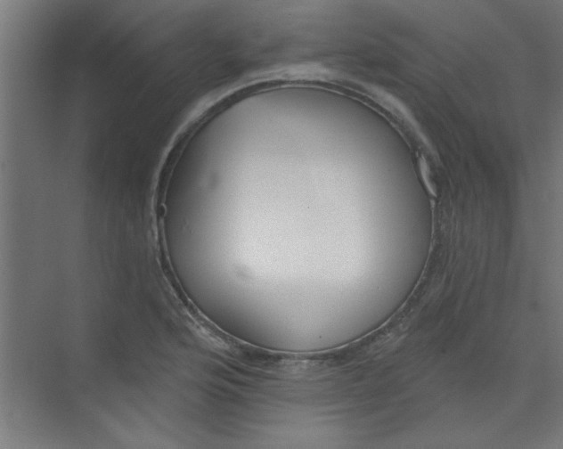 X0000073971176200609051837