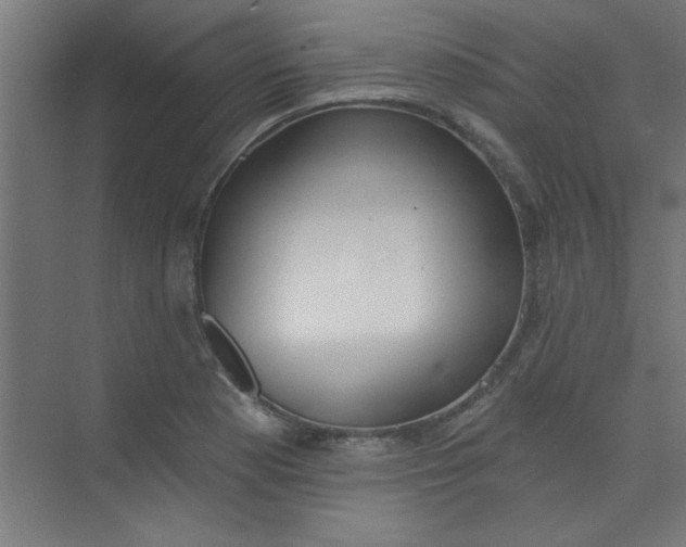 X0000073971177200609051837