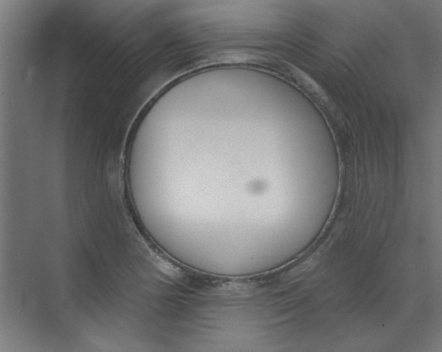 X0000073971178200609051837