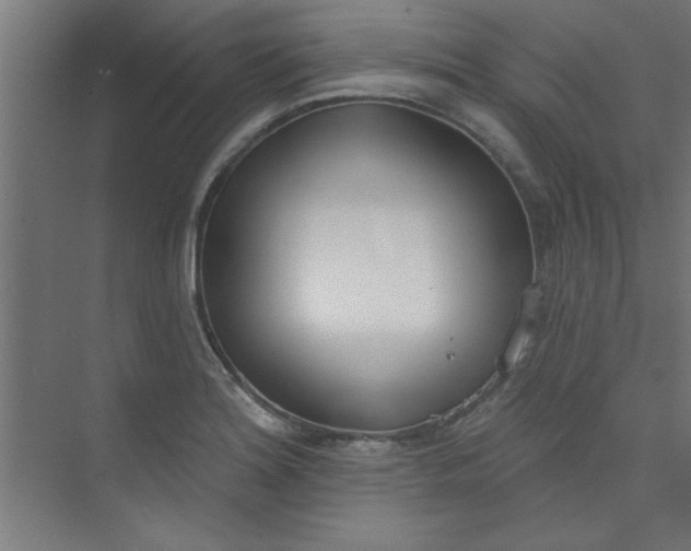 X0000073971180200609051837