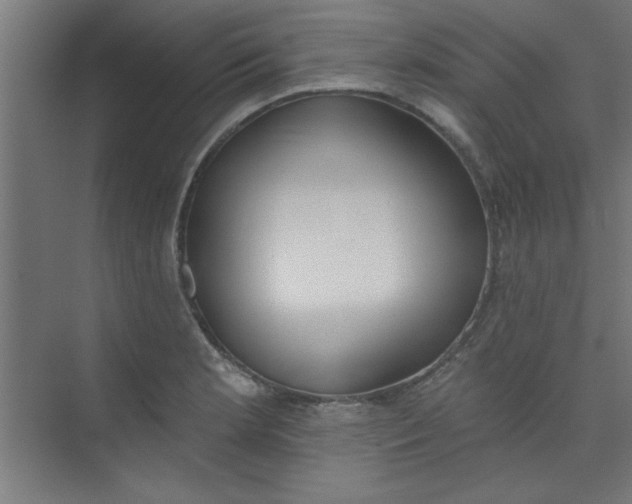 X0000073971181200609051837