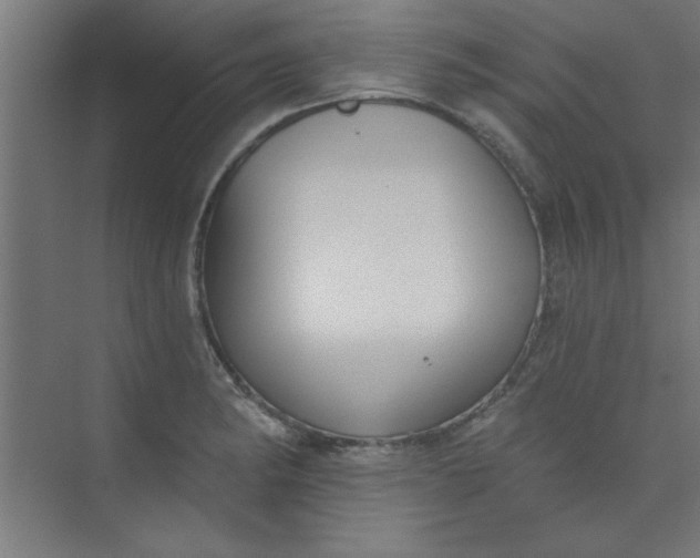 X0000073971182200609051837