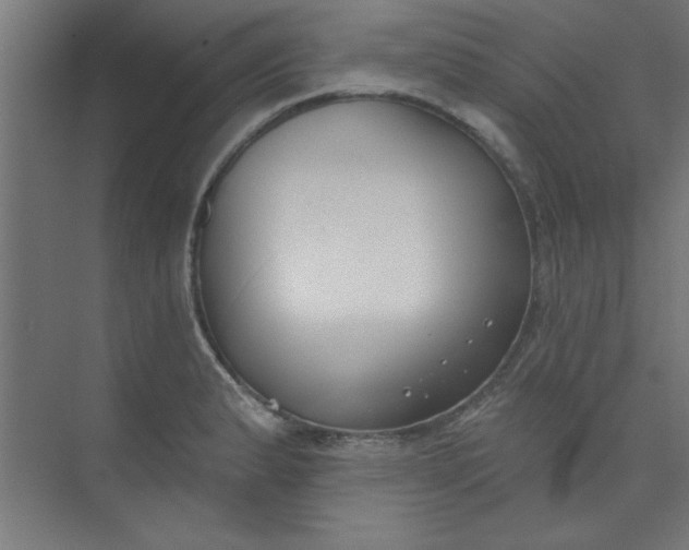 X0000073971183200609051837