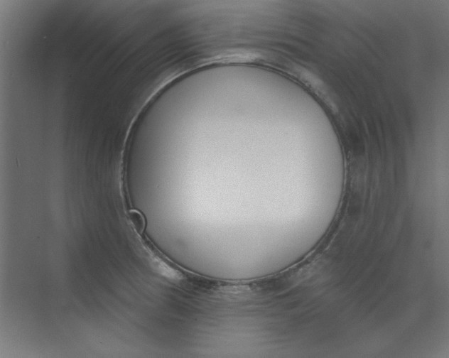 X0000073971186200609051837