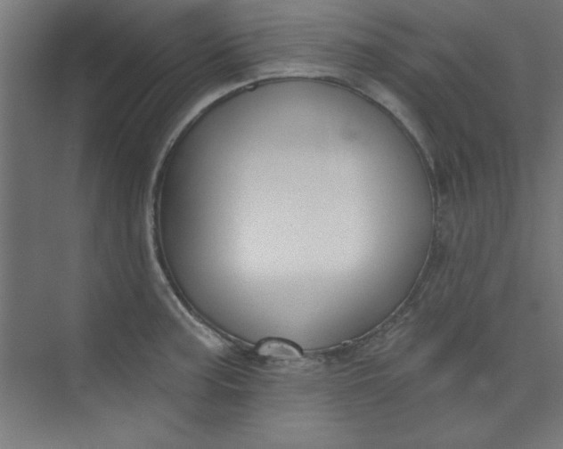 X0000073971187200609051837