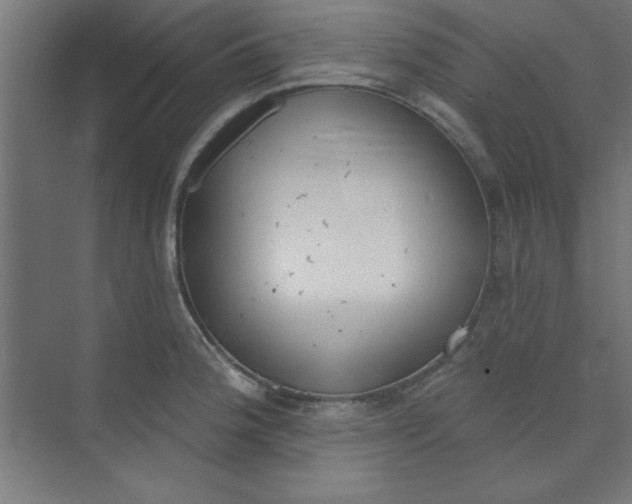 X0000073971188200609051837