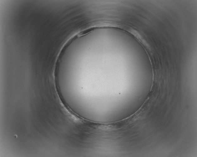 X0000073971189200609051837