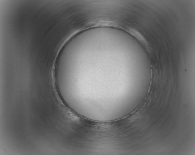 X0000073971190200609051837