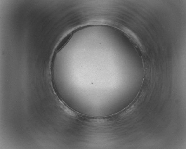 X0000073971192200609051837