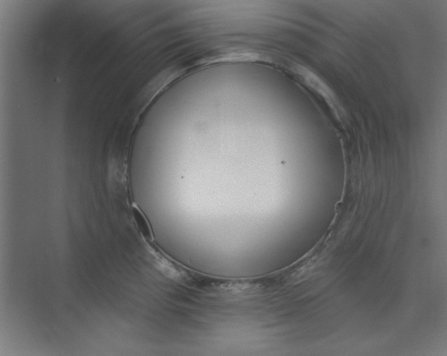 X0000073971193200609051837