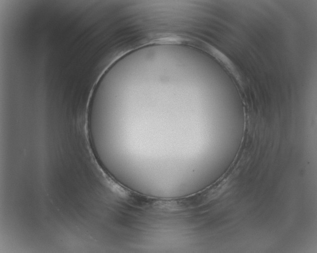 X0000073971194200609051837