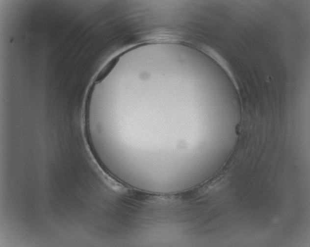 X0000073971195200609051837