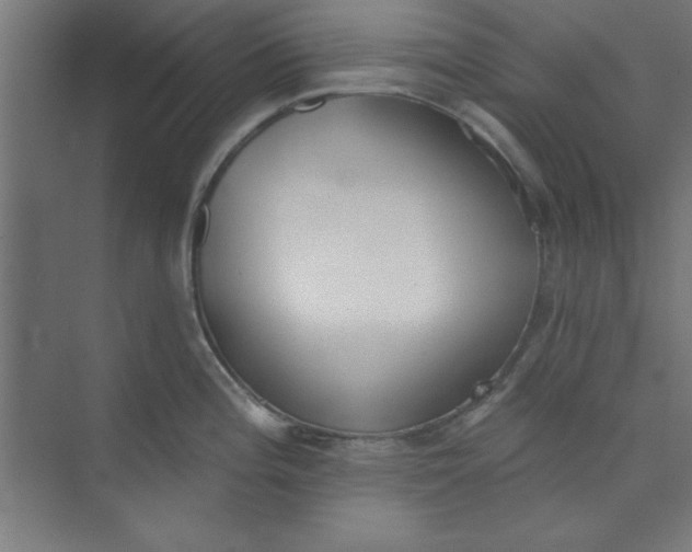 X0000073971196200609051837