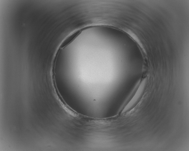 X0000073971197200609051837