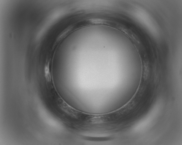 X0000073971198200609051837