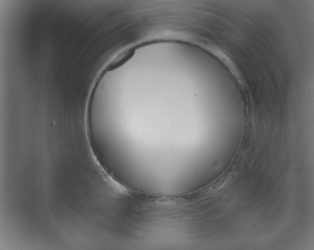 X0000073971199200609051837