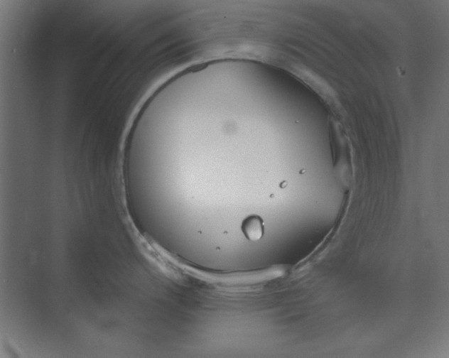 X0000073971200200609051837