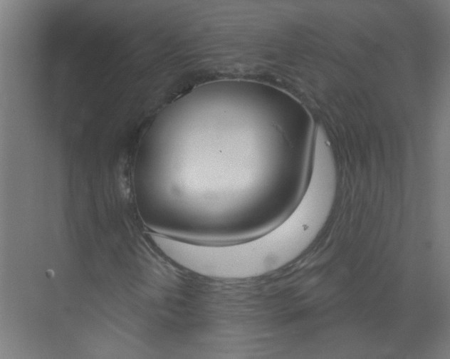 X0000073971202200609051836