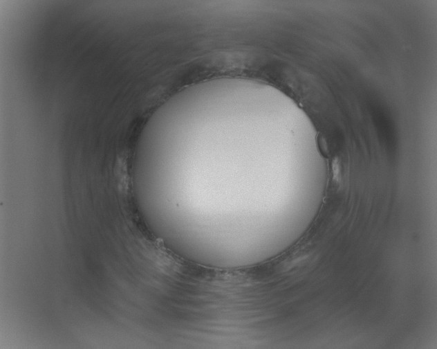 X0000073971203200609051836