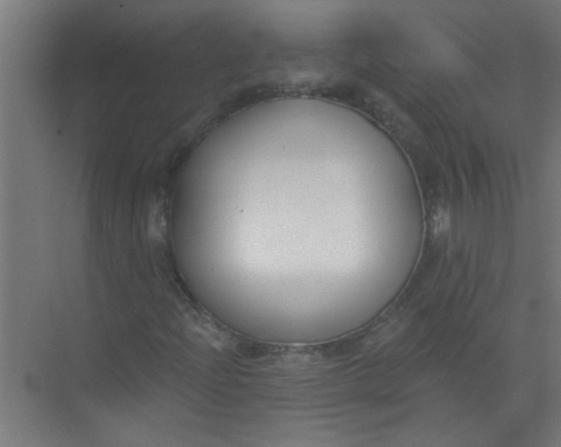 X0000073971204200609051836