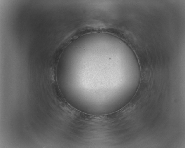 X0000073971205200609051836