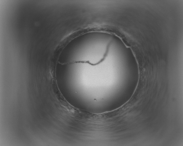 X0000073971206200609051836