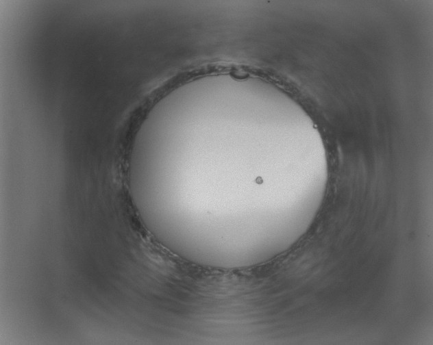 X0000073971207200609051836