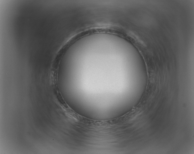 X0000073971208200609051836